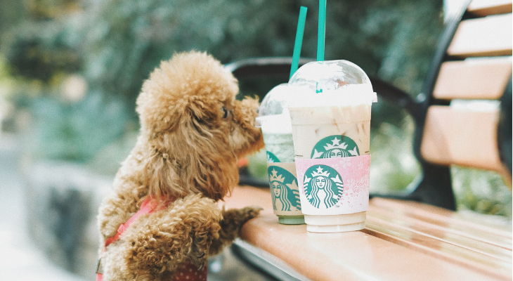 secret starbucks drinks